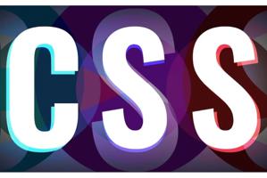 Cabinet Sub-Committee Rejects Proposal to Extend CSS Age Limit, Sparking Outrage